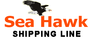 sea-hawks-logo